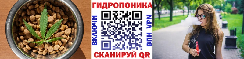 где продают наркотики  даркнет официальный сайт  Canna-Cookies конопля  Тимашёвск 